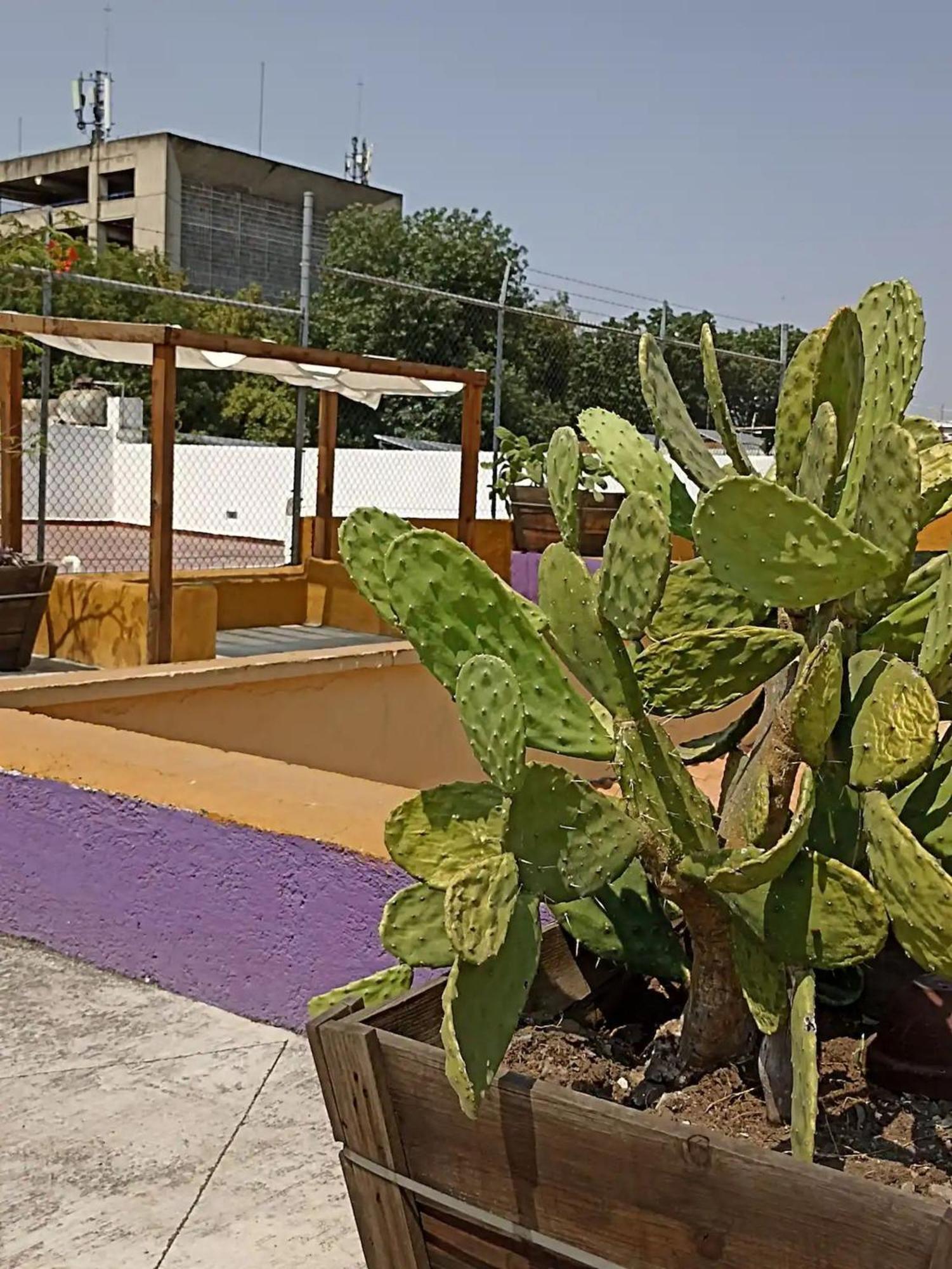 1 Guadalajara Corazon Del Centro Historico Hospedate En Una Casa Antigua En Una Habitacion Sencilla Con Areas Comunes Y Banos Compartidas Exterior foto
